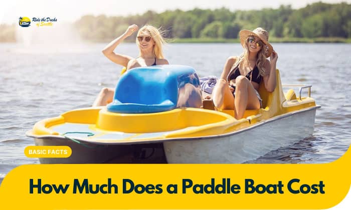 how much does a paddle boat cost
