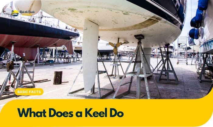 what does a keel do