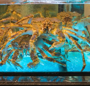 Crab-live-tank-in-boat
