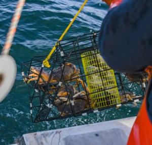 Operating-costs-of-a-crab-boat