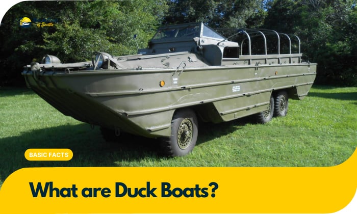 what are duck boats