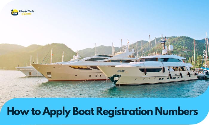 How to Apply Boat Registration Numbers